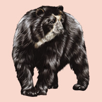 Spectacled Bear Urban Hoodie | Teevron