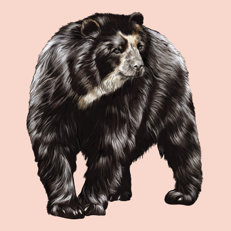 Spectacled Bear Urban Hoodie by LillyAllenDesigns | Teevron