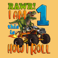 Rawr I Am One This Is How I Roll Vintage Hoodie | Teevron