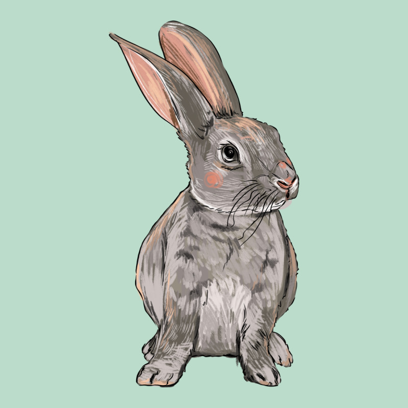 Easter Bunny Premium Hoodie by OliviaCreatesArt | Teevron