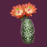King Cup Cactus Urban Hoodie | Teevron