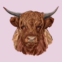 Highland Cow Ladies Tee | Teevron