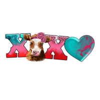 xoxo guarnsey cow | Teevron
