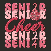 Senior Cheer 2024 Heavy Core Tee | Teevron
