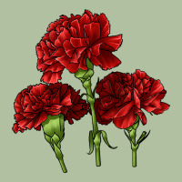 Scarlet Red Carnation Illustrations Urban Hoodie | Teevron