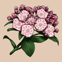 Mountain Laurel Flower Illustrations Urban Hoodie | Teevron