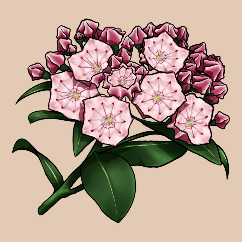Mountain Laurel Flower Illustrations Urban Hoodie by LillyAllenDesigns | Teevron