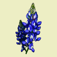 Bluebonnet Flower Illustrations Urban Hoodie | Teevron