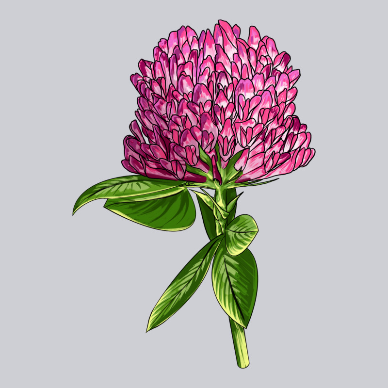 Red Clover Illustrations Urban Hoodie by LillyAllenDesigns | Teevron