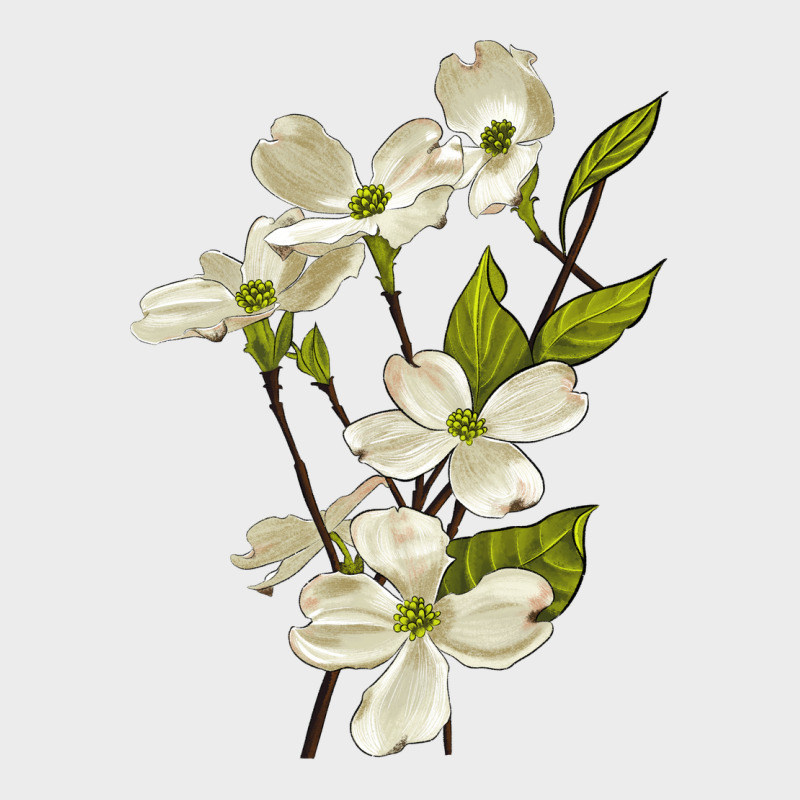American Dogwood Flower Illustrations Urban Hoodie by LillyAllenDesigns | Teevron