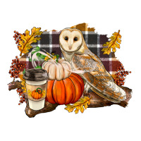 Fall Barn Owl | Teevron