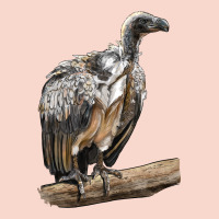 Vulture Bird Urban Hoodie | Teevron