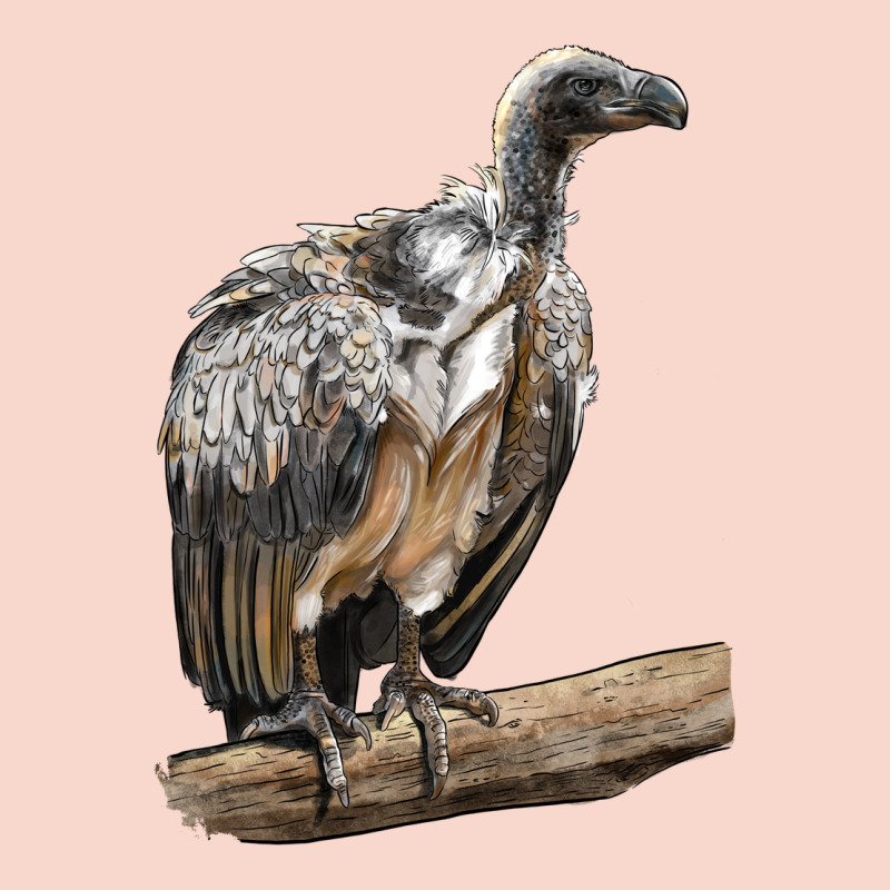 Vulture Bird Urban Hoodie by LillyAllenDesigns | Teevron