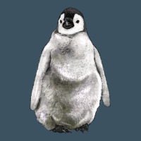 Baby Penguin Urban Hoodie | Teevron