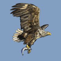 American White Sea Eagle Urban Hoodie | Teevron