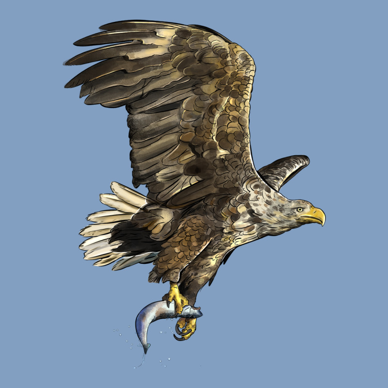 American White Sea Eagle Urban Hoodie by LillyAllenDesigns | Teevron