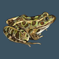 Northern Leopard Frog Urban Hoodie | Teevron