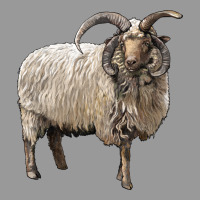 Navajo Churro Sheep Vintage Hoodie | Teevron