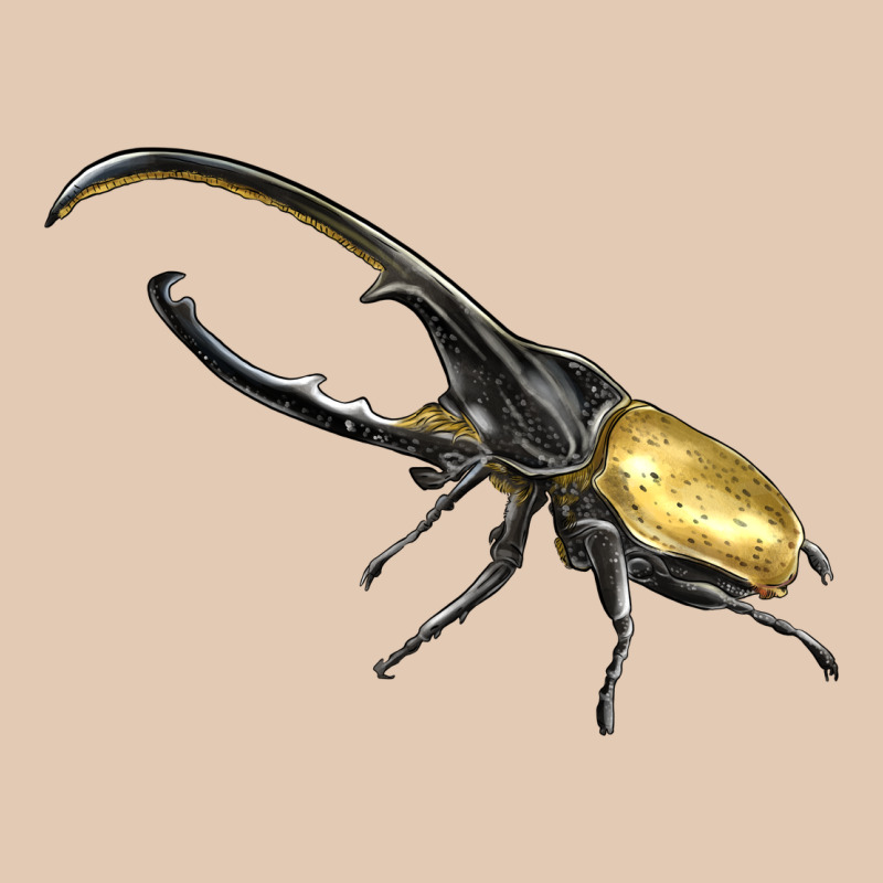 Hercules Beetle Side Urban Hoodie by LillyAllenDesigns | Teevron