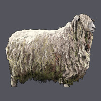 Lincoln Sheep Vintage Hoodie | Teevron