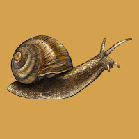 Snail Urban Hoodie | Teevron