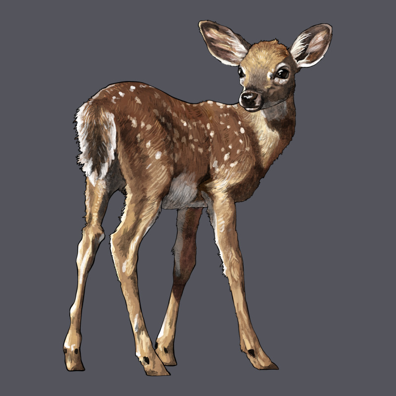 White Tailed Fawn Deer Vintage Hoodie by LillyAllenDesigns | Teevron