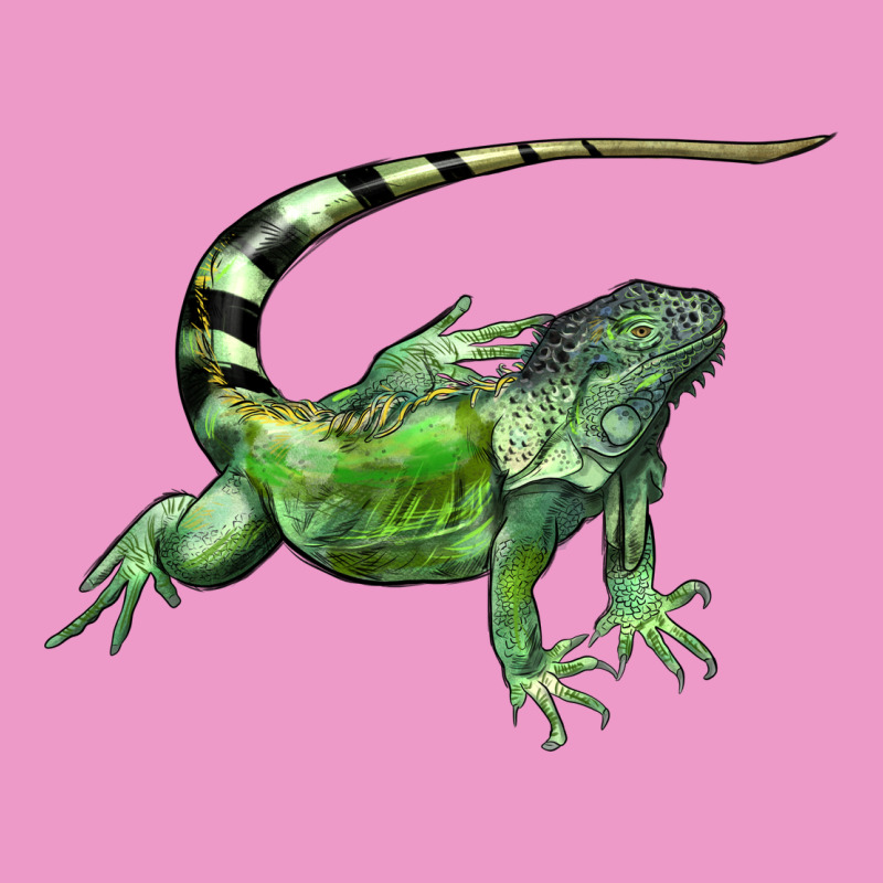 İguana Urban Hoodie by LillyAllenDesigns | Teevron
