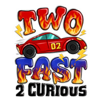 two fast two curious boys birthday racing car | Teevron