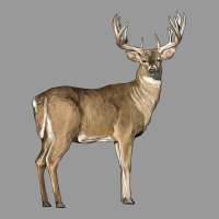 White Tailed Buck Deer Vintage Hoodie | Teevron