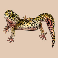 Gecko Lizard Illustrations Urban Hoodie | Teevron