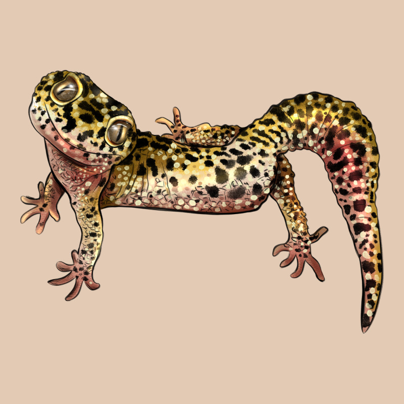 Gecko Lizard Illustrations Urban Hoodie by LillyAllenDesigns | Teevron