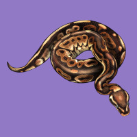 Royal Ball Python Illustrations Urban Hoodie | Teevron