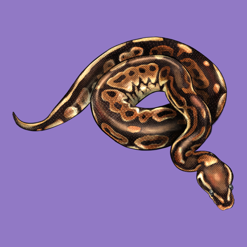 Royal Ball Python Illustrations Urban Hoodie by LillyAllenDesigns | Teevron