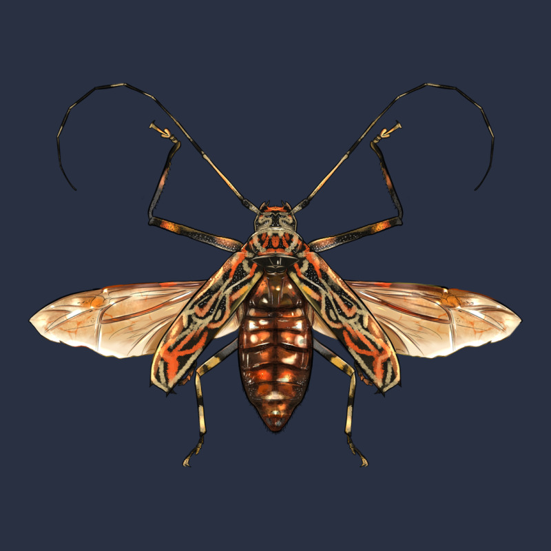 Acrocinus Beetle With Wings Urban Hoodie by LillyAllenDesigns | Teevron