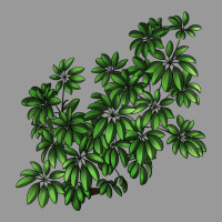 Botanical Schefflera Illustrations Vintage Hoodie | Teevron