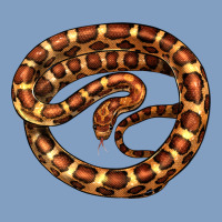 Corn Snake Illustrations Urban Hoodie | Teevron