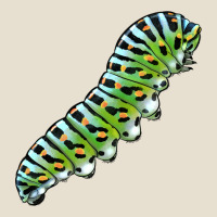 Papilio Machaon Caterpillar Urban Hoodie | Teevron