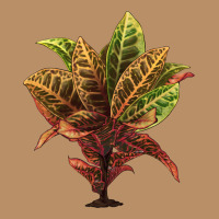 Croton Vintage Hoodie | Teevron
