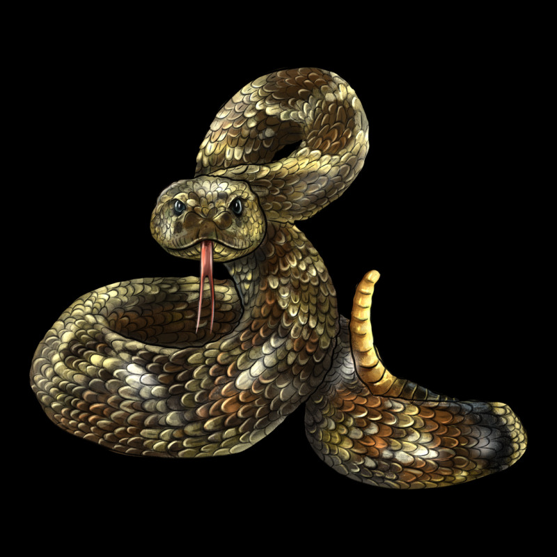 Rattlesnake Urban Hoodie by LillyAllenDesigns | Teevron