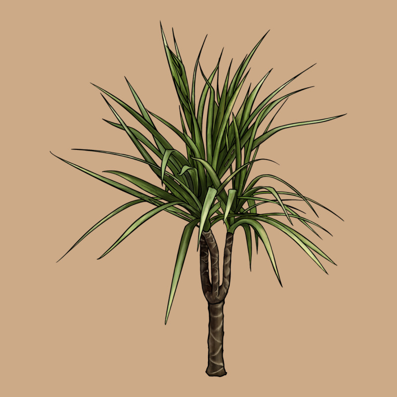 Dracaena Marginata Vintage Hoodie by LillyAllenDesigns | Teevron