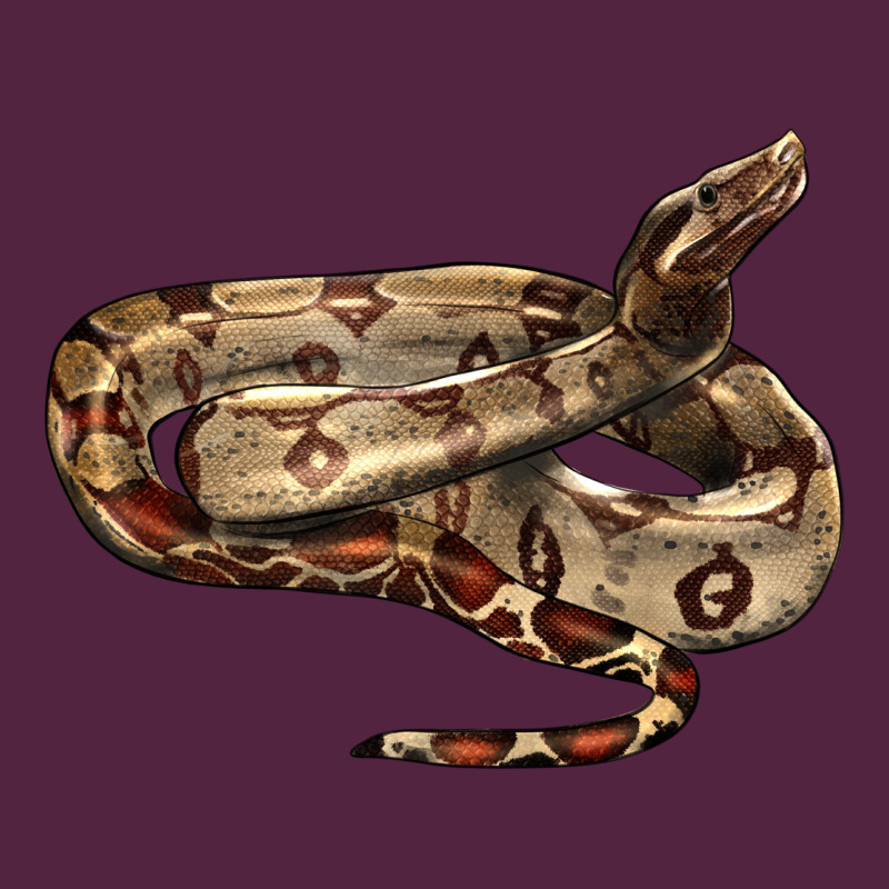 Red Tail Boa Snake Urban Hoodie by LillyAllenDesigns | Teevron