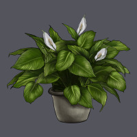 Peace Lily Vintage Hoodie | Teevron
