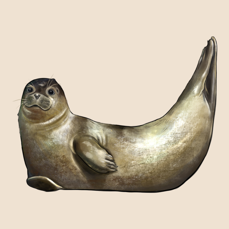 Sea Seal Urban Hoodie by LillyAllenDesigns | Teevron