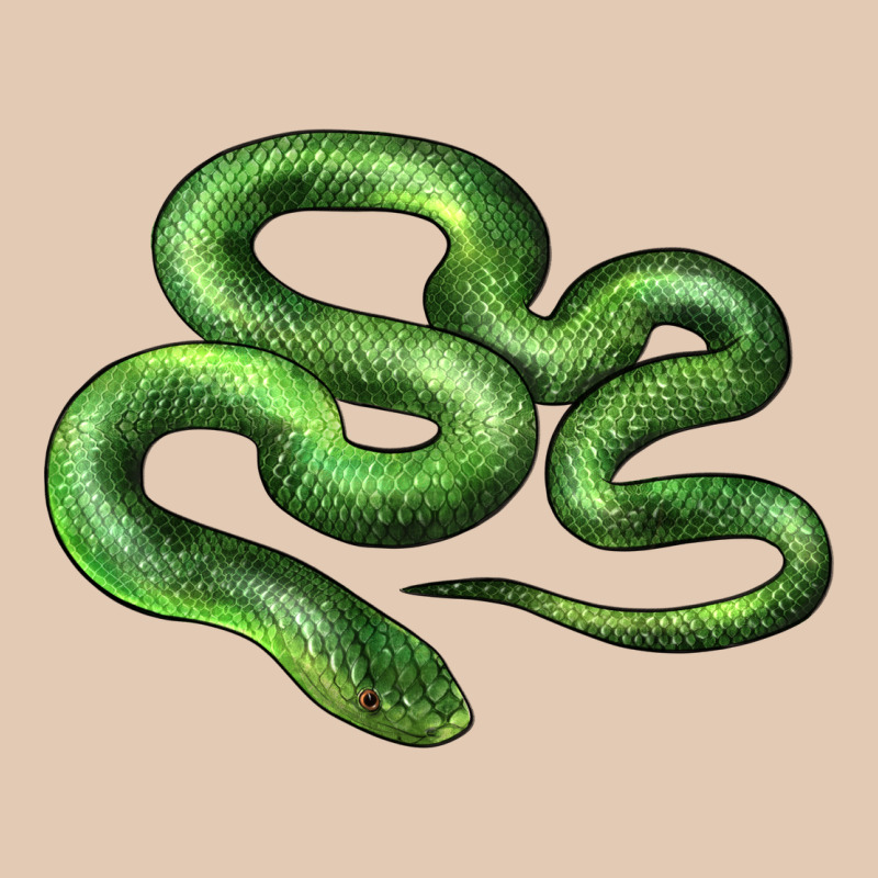 Boomslang Snake Urban Hoodie by LillyAllenDesigns | Teevron