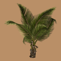 Palm Tree Vintage Hoodie | Teevron