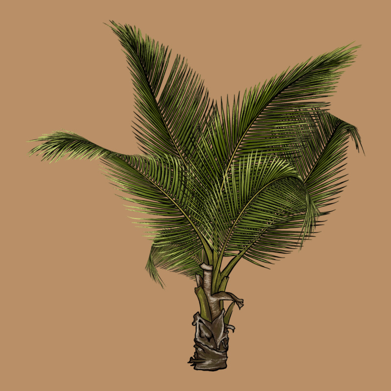 Palm Tree Vintage Hoodie by LillyAllenDesigns | Teevron