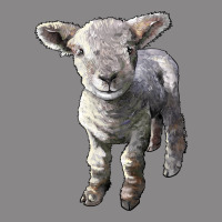 Southdown Baby Sheep Vintage Tee | Teevron