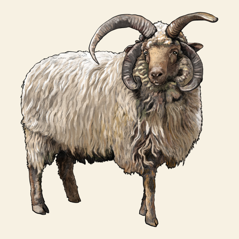 Navajo Churro Sheep Vintage Tee by LillyAllenDesigns | Teevron