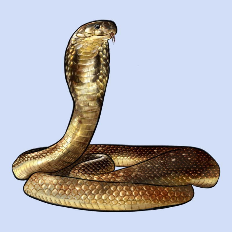 King Cobra Snake Urban Hoodie by LillyAllenDesigns | Teevron
