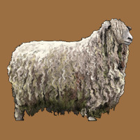 Lincoln Sheep Vintage Tee | Teevron